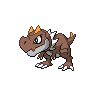 Tyrunta