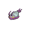 コソクムシ